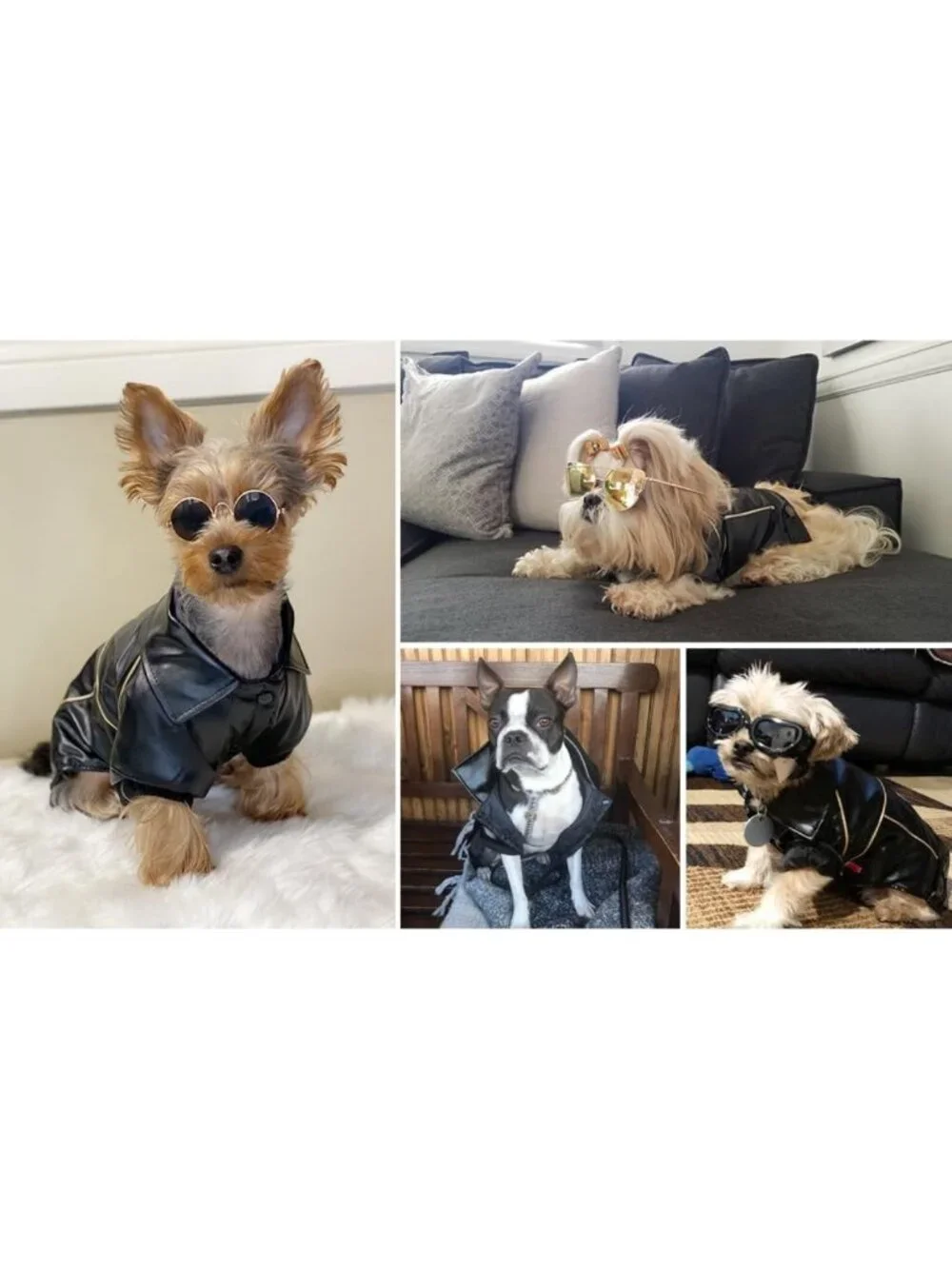 Stylish Waterproof Leather Dog Jacket - Cute Motorcycle Coat for Small & Medium